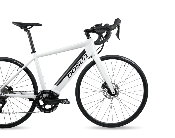 Electric-Assisted Road Bike (Hydraulic Disc Brakes)